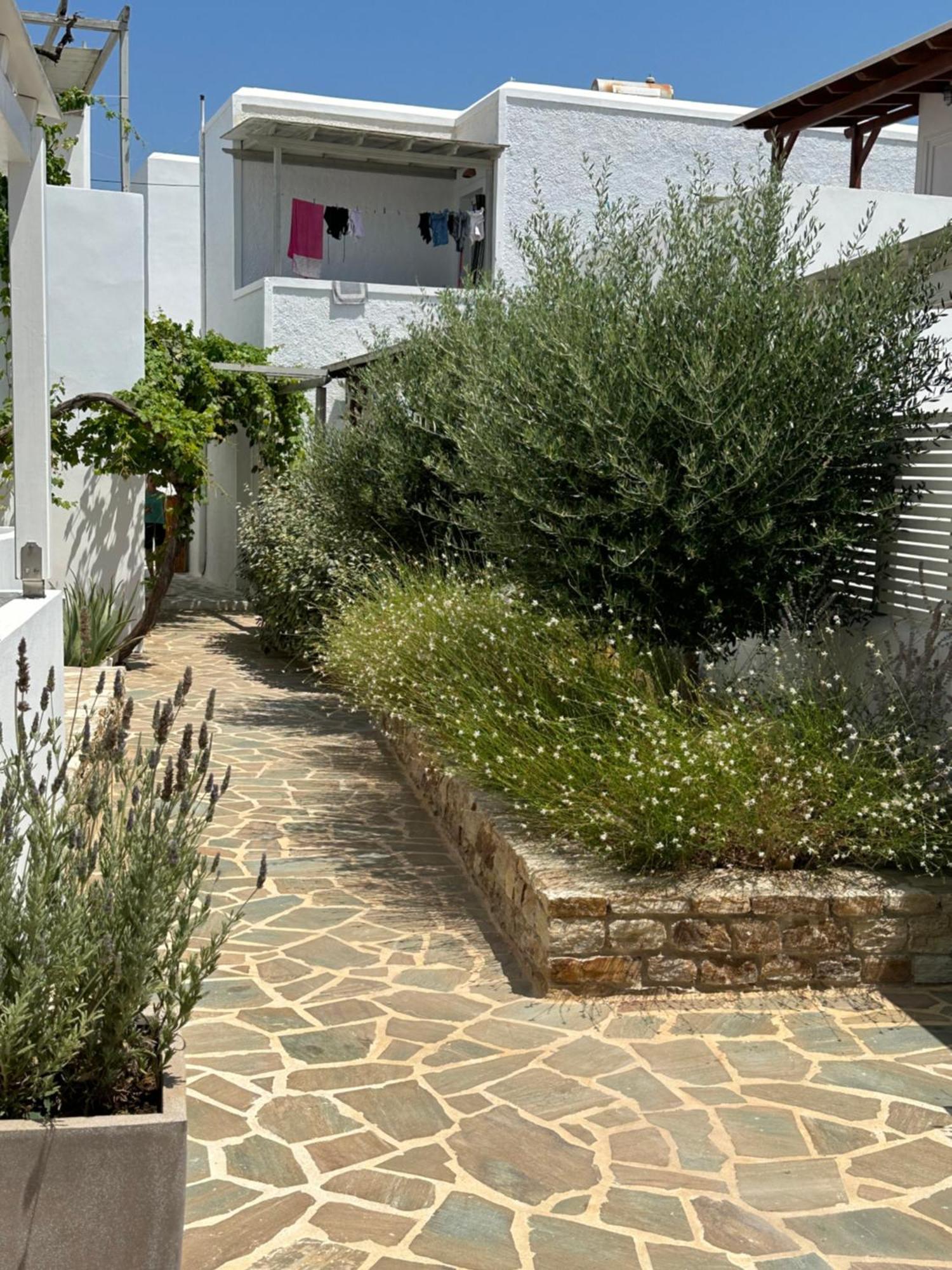 Levanda Guest Houses Antíparos Exterior foto